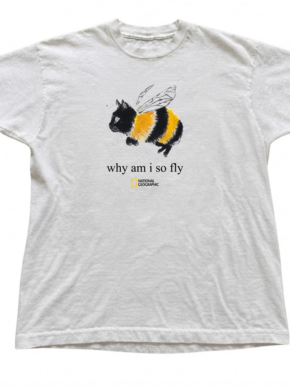 National Geographic Kids "Why Am I So Fly" White Bee Funny Graphic Gildan T-shir